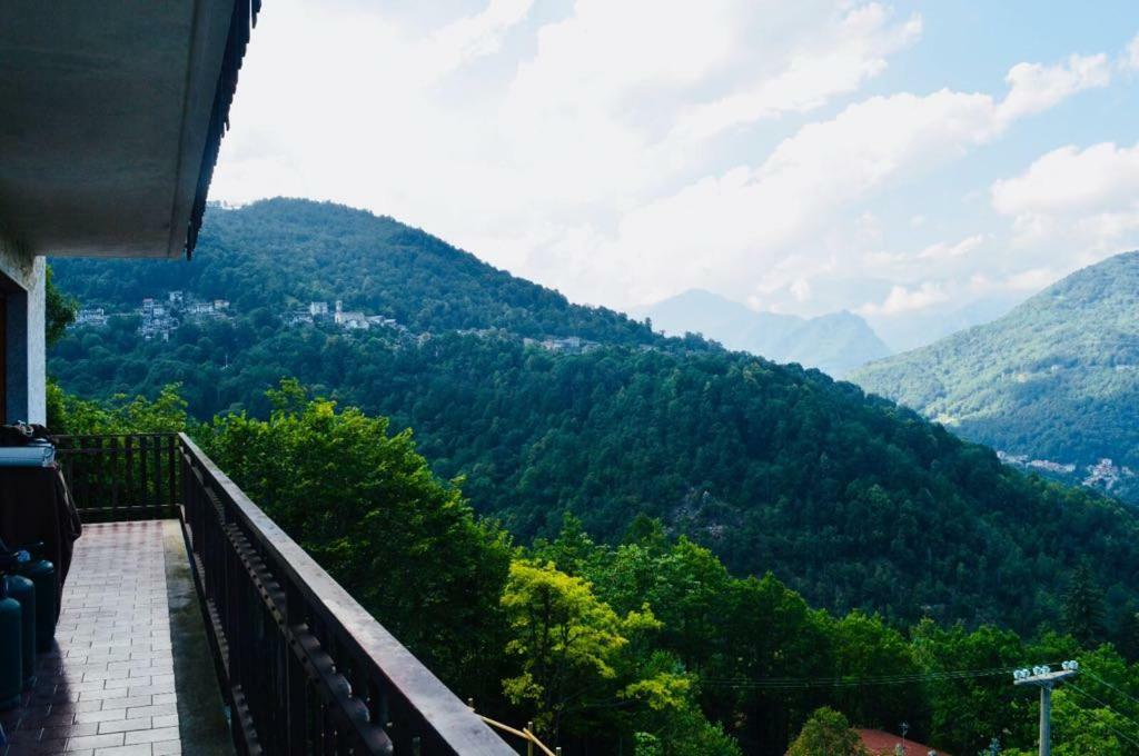 Gold Cave Casa Vacanze Relax Nel Bosco Appartamenti Pessinetto エクステリア 写真