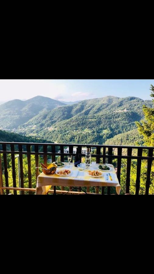 Gold Cave Casa Vacanze Relax Nel Bosco Appartamenti Pessinetto エクステリア 写真