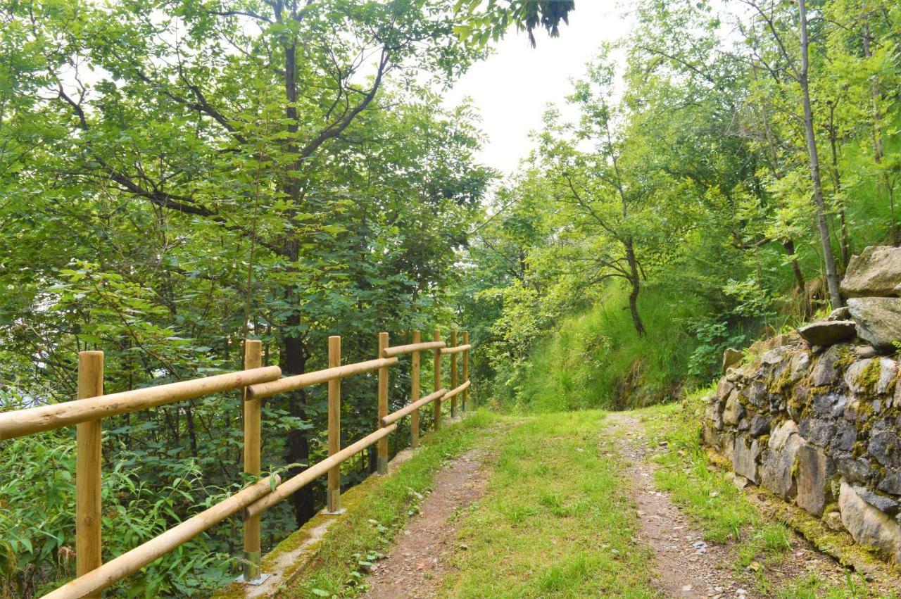Gold Cave Casa Vacanze Relax Nel Bosco Appartamenti Pessinetto エクステリア 写真