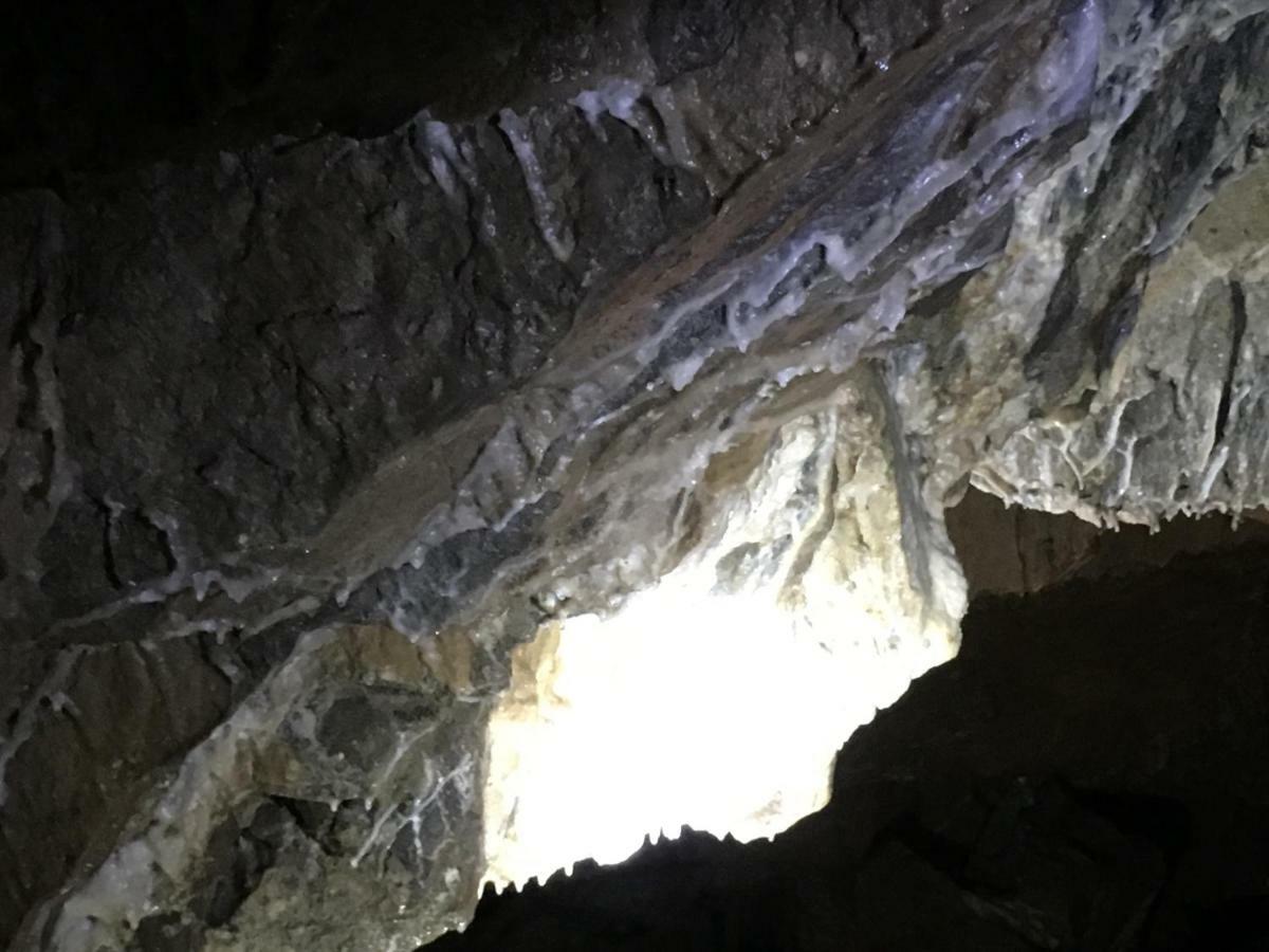 Gold Cave Casa Vacanze Relax Nel Bosco Appartamenti Pessinetto エクステリア 写真