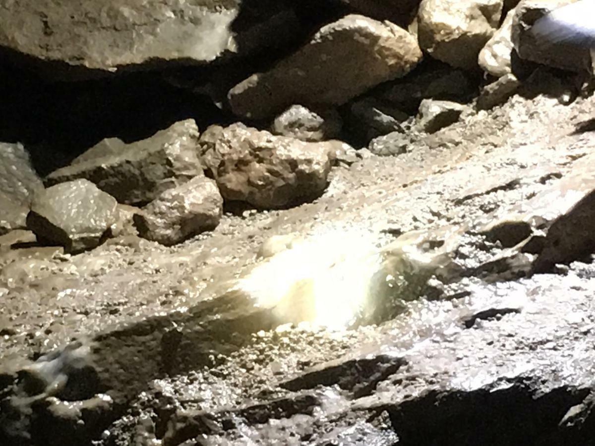 Gold Cave Casa Vacanze Relax Nel Bosco Appartamenti Pessinetto エクステリア 写真