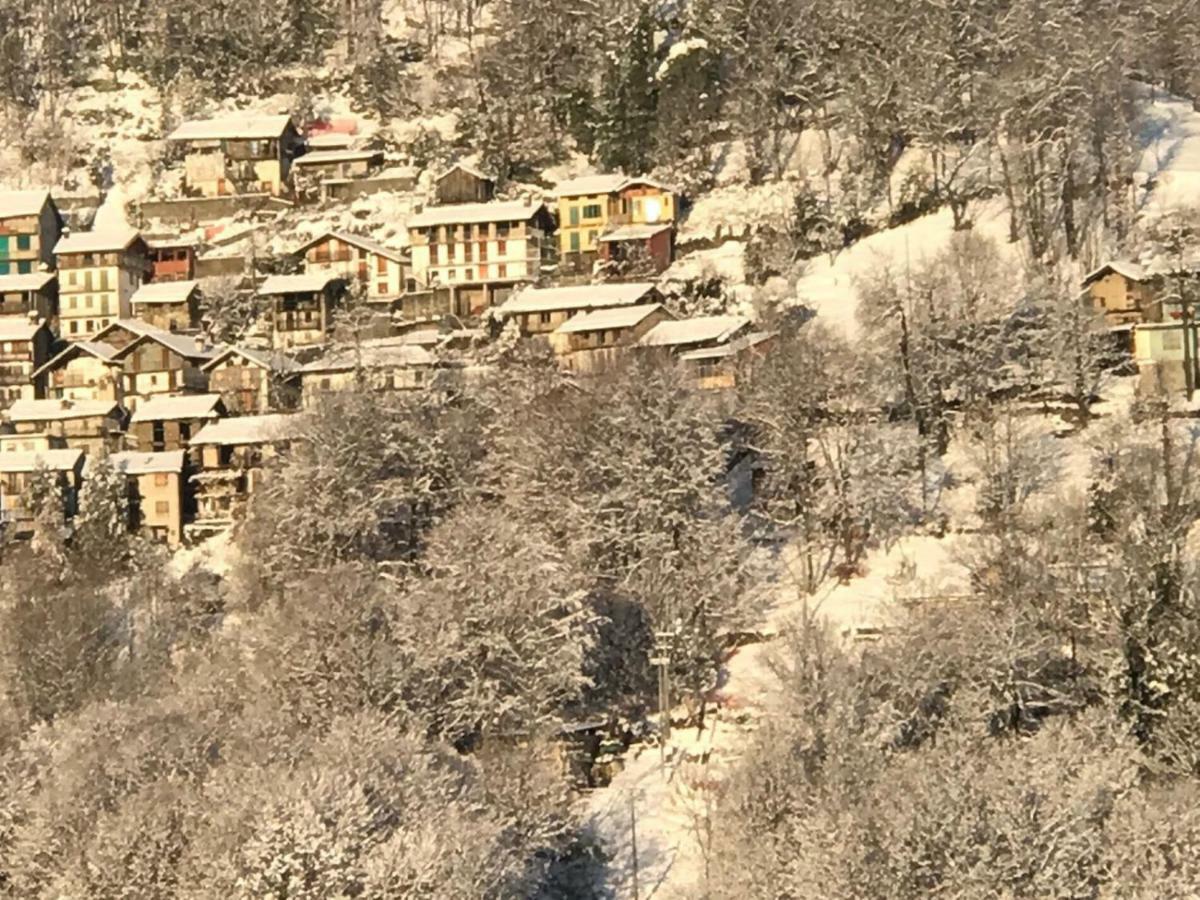 Gold Cave Casa Vacanze Relax Nel Bosco Appartamenti Pessinetto エクステリア 写真