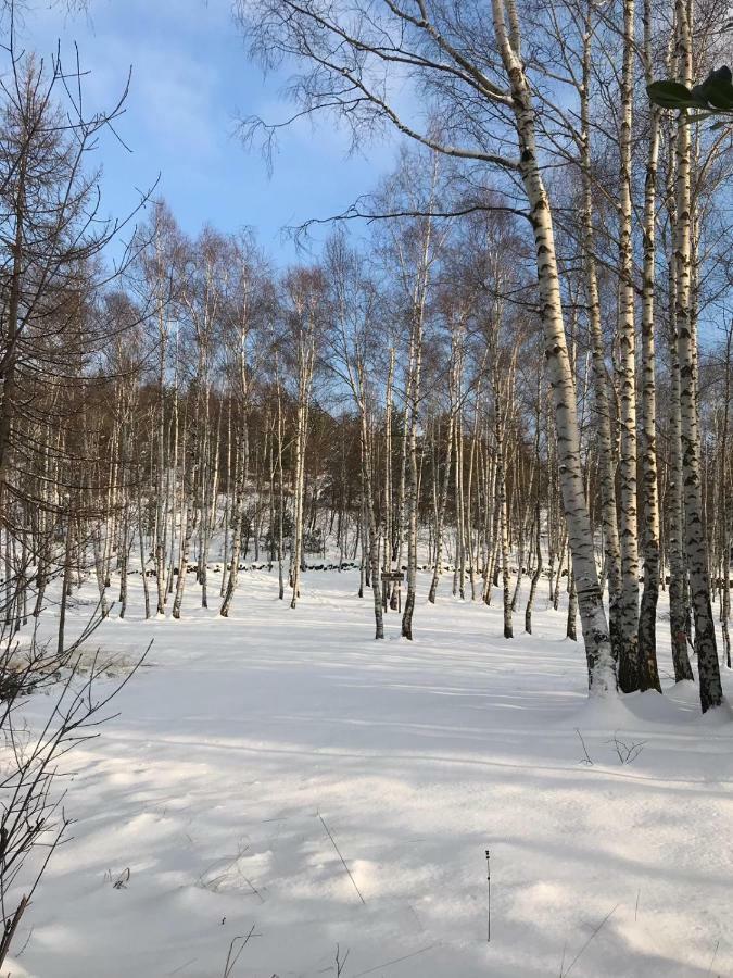 Gold Cave Casa Vacanze Relax Nel Bosco Appartamenti Pessinetto エクステリア 写真